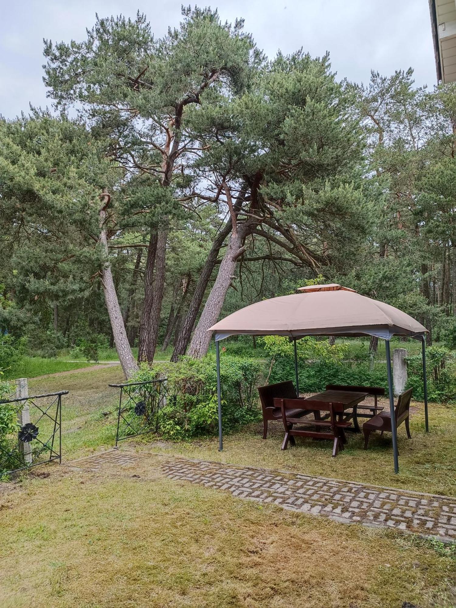 Surf Apartments In Melnrage Клайпеда Стая снимка